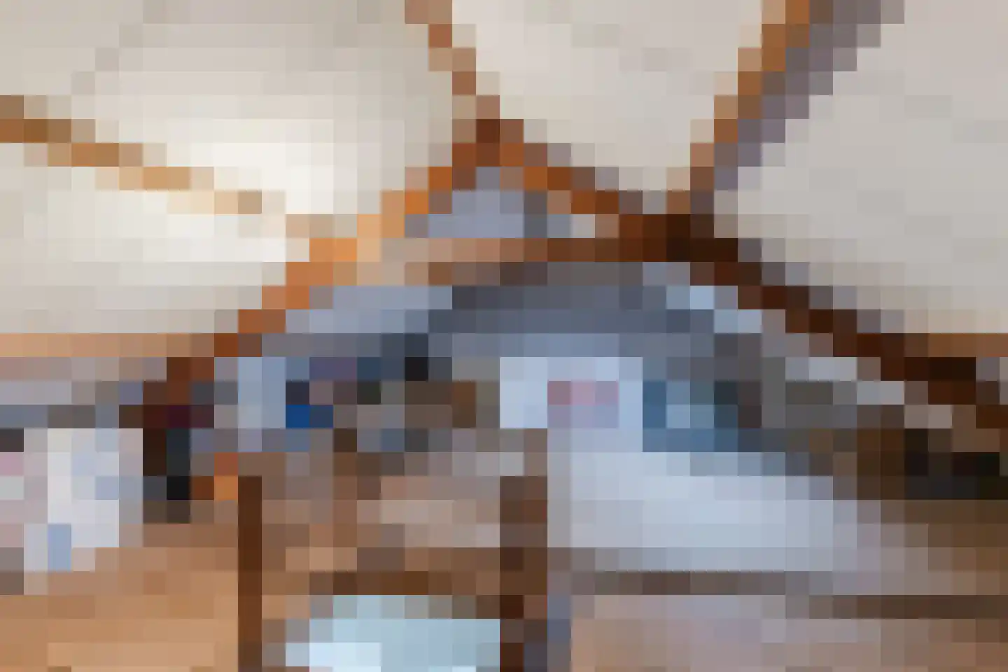Patrijsstraat 40 Zundert thumbnail 32