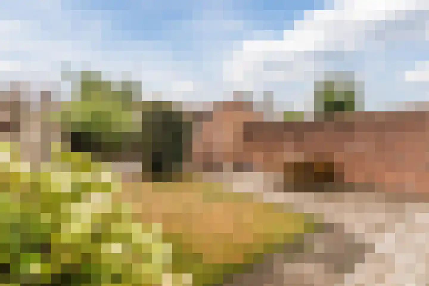 Patrijsstraat 40 Zundert thumbnail 36