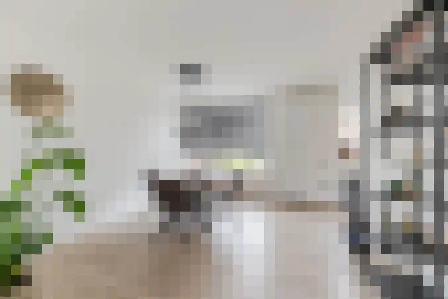Patrijsstraat 40 Zundert thumbnail 4