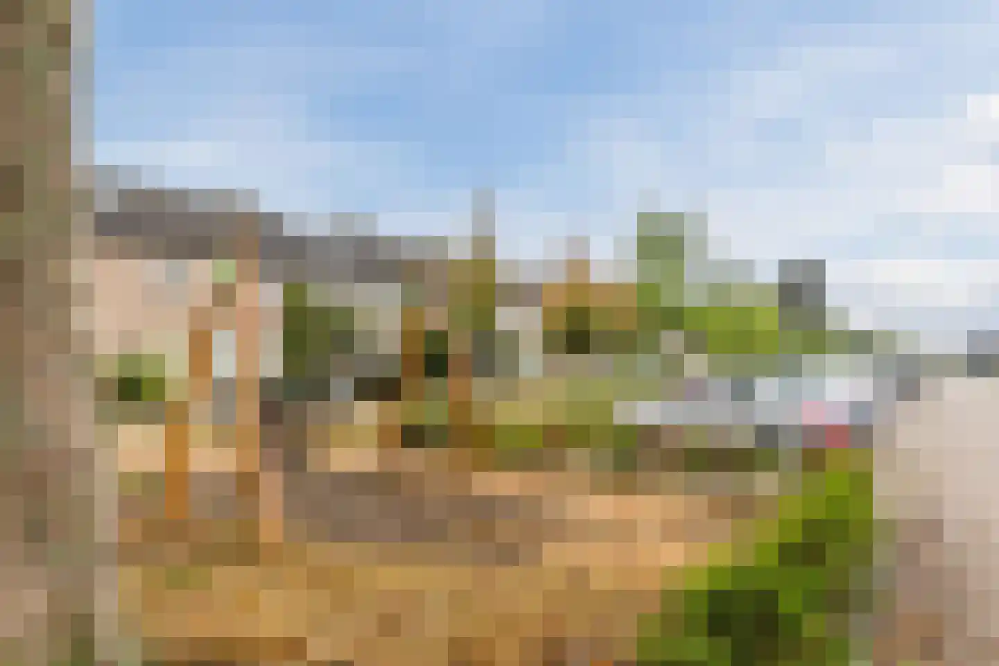 Patrijsstraat 40 Zundert thumbnail 40