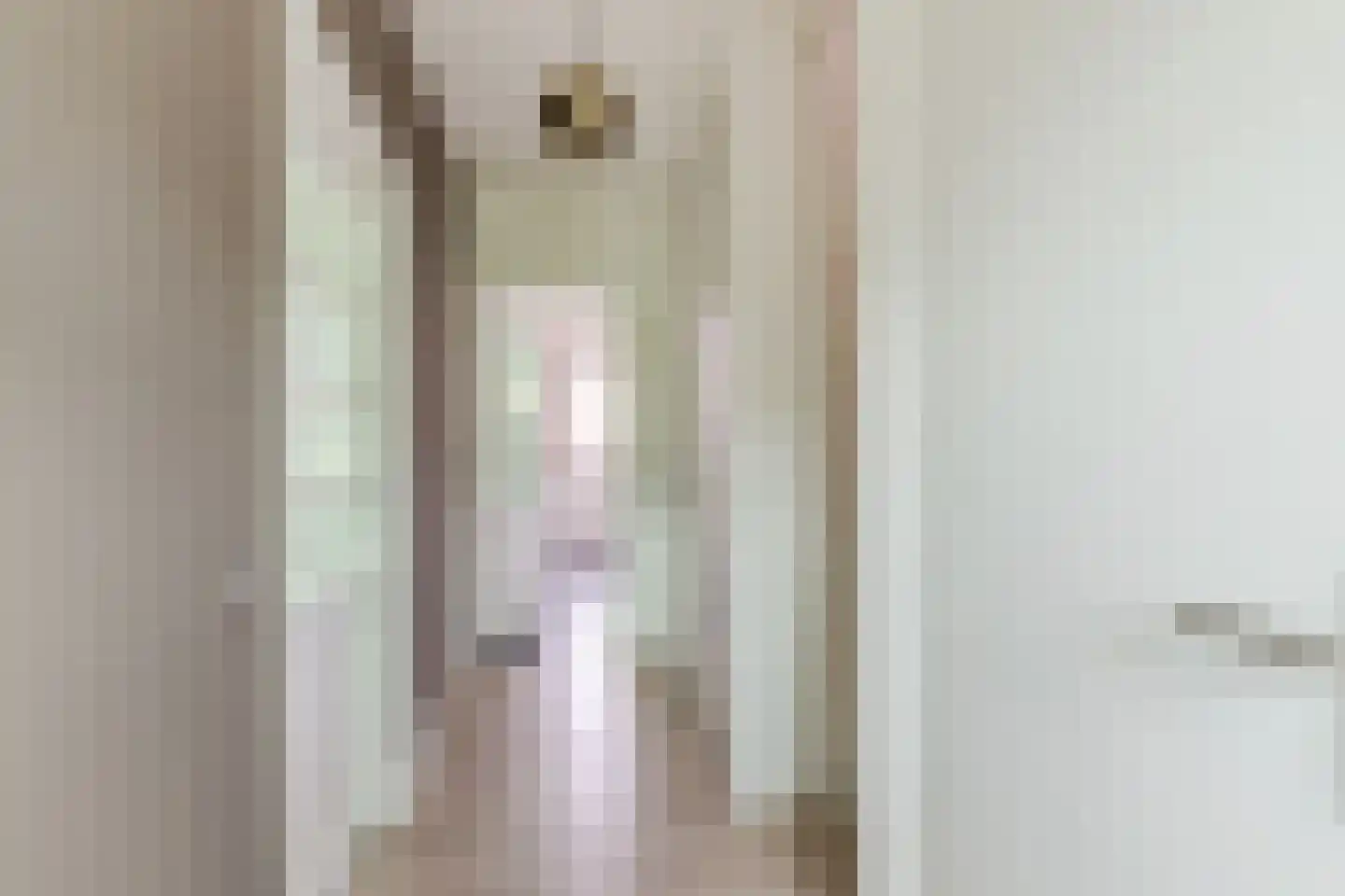 Patrijsstraat 40 Zundert thumbnail 6