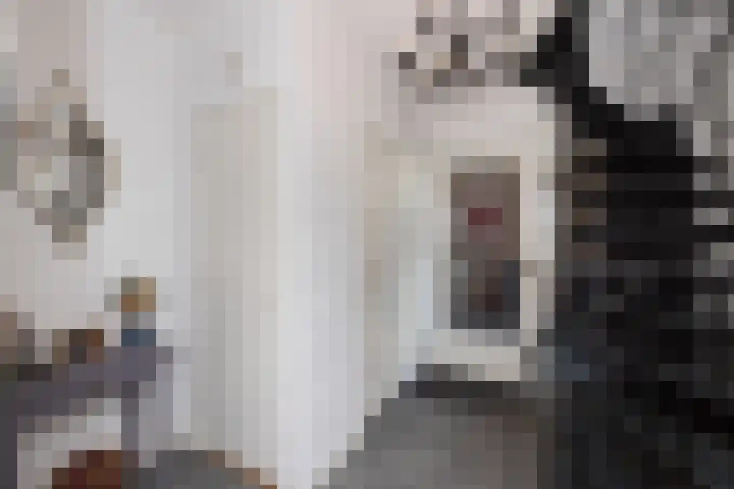 Patrijsstraat 42 Neede thumbnail 22