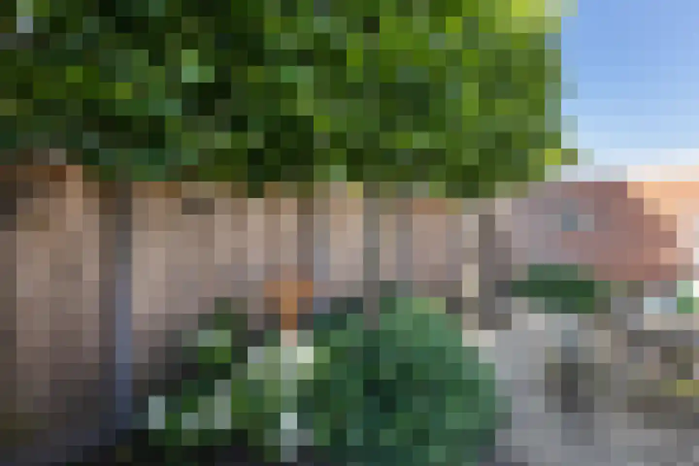 Patrijsstraat 42 Neede thumbnail 33