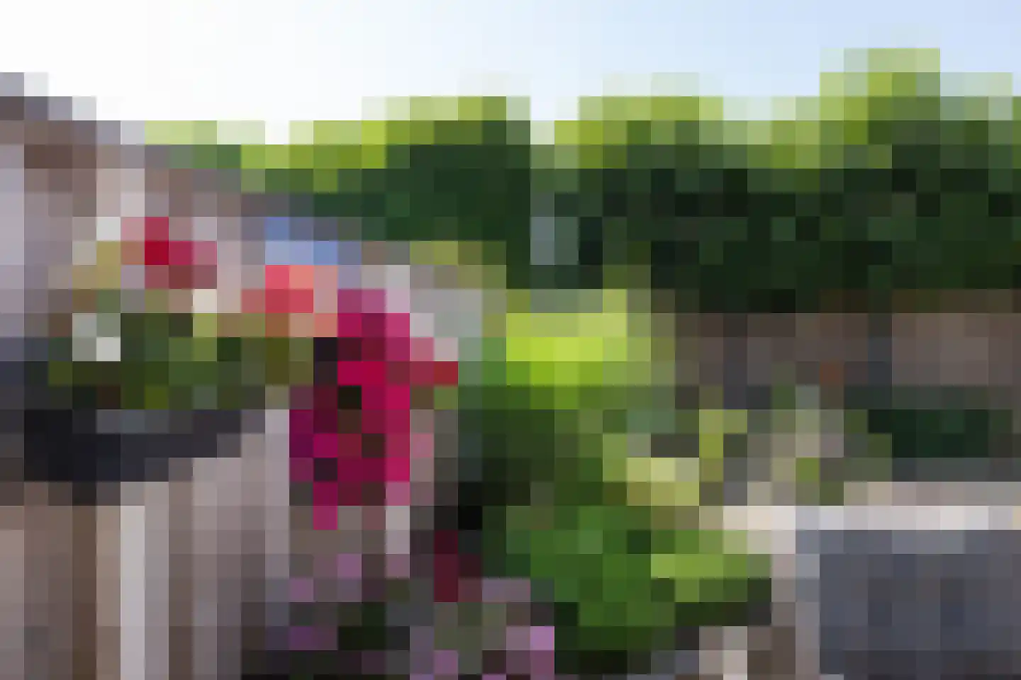 Patrijsstraat 42 Neede thumbnail 34