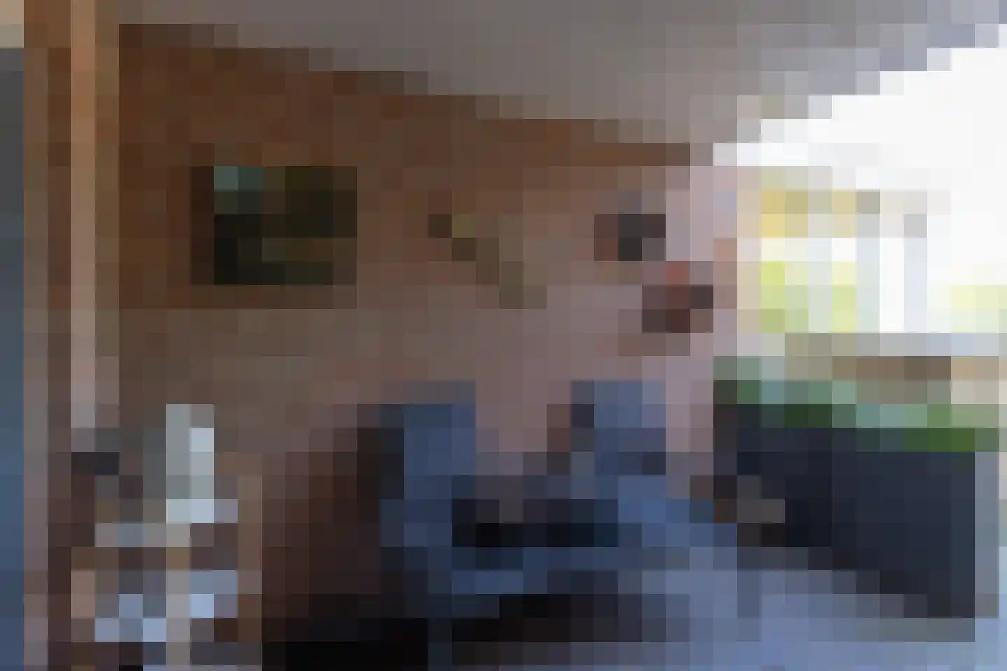 Patrijsstraat 42 Neede thumbnail 35