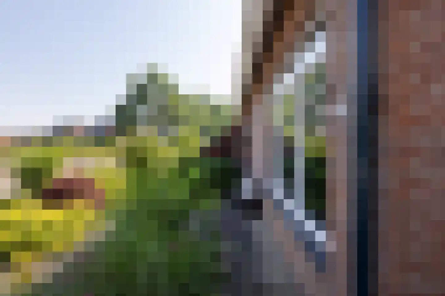 Patrijsstraat 42 Neede thumbnail 37