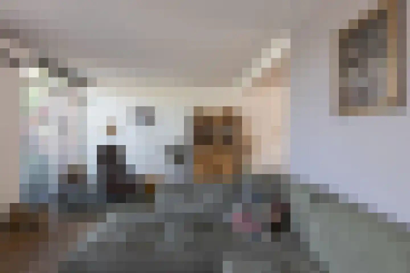 Patrijsstraat 42 Neede thumbnail 5