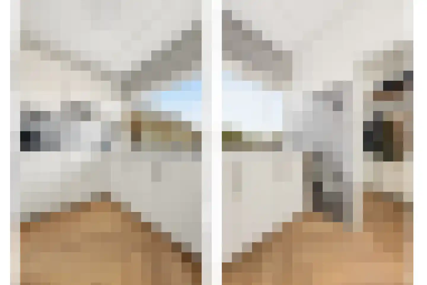 Patrijsstraat 43 Papendrecht thumbnail 4