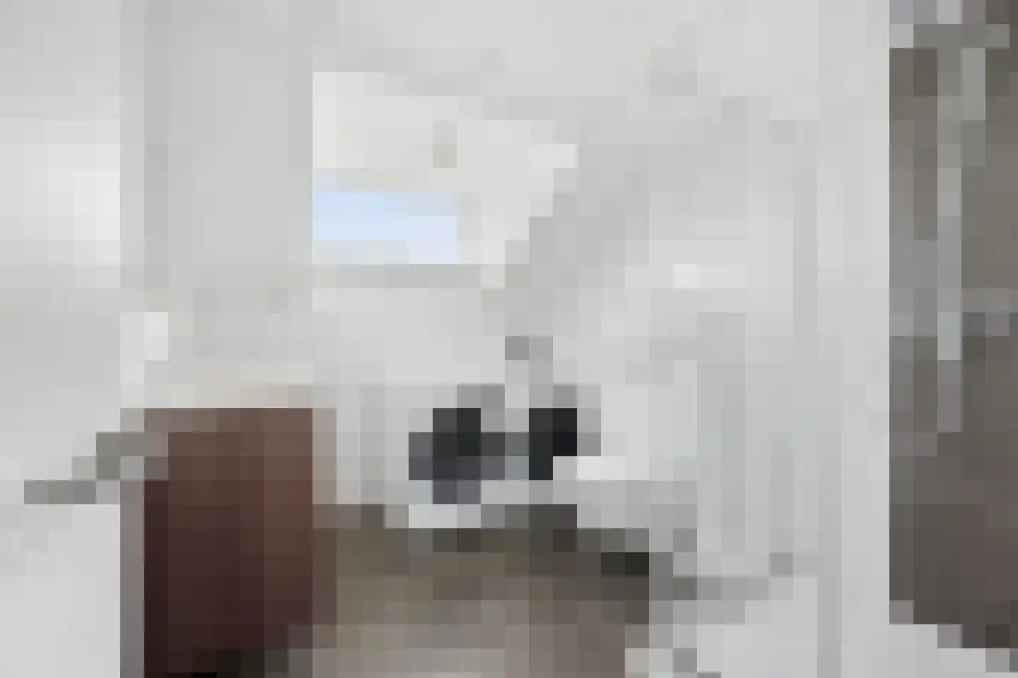 Patrijsstraat 43 Papendrecht thumbnail 5