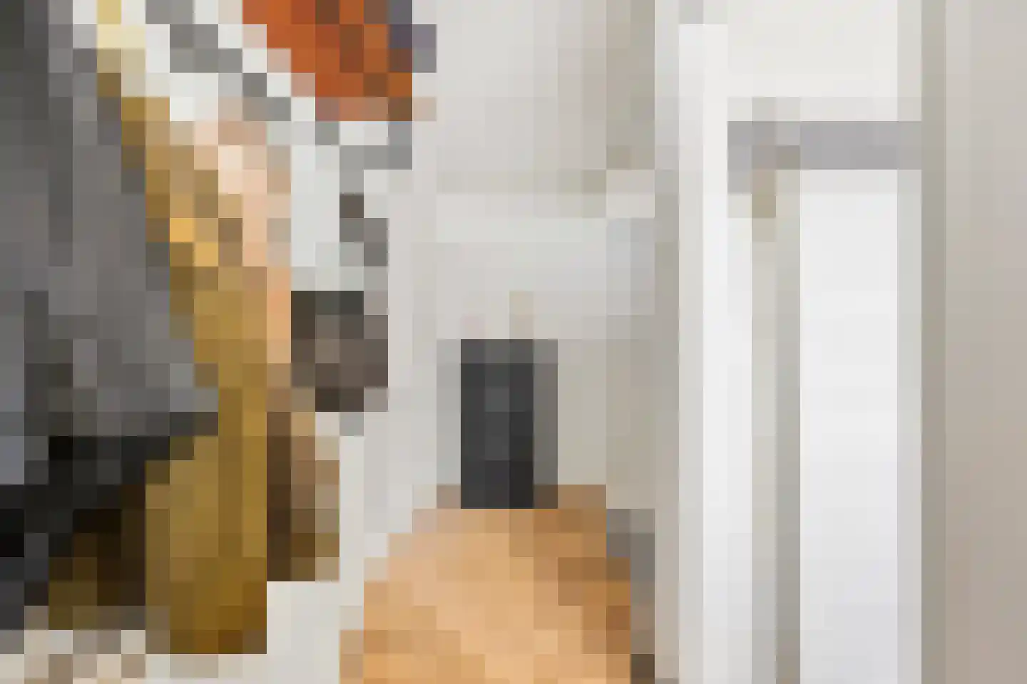 Patrijsstraat 43 Papendrecht thumbnail 7