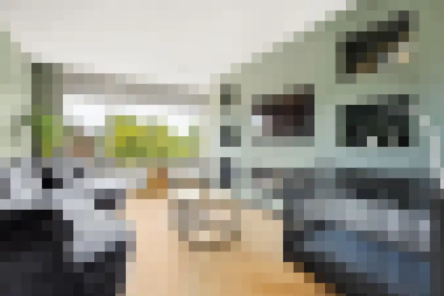 Patrijsstraat 43 Papendrecht thumbnail 9