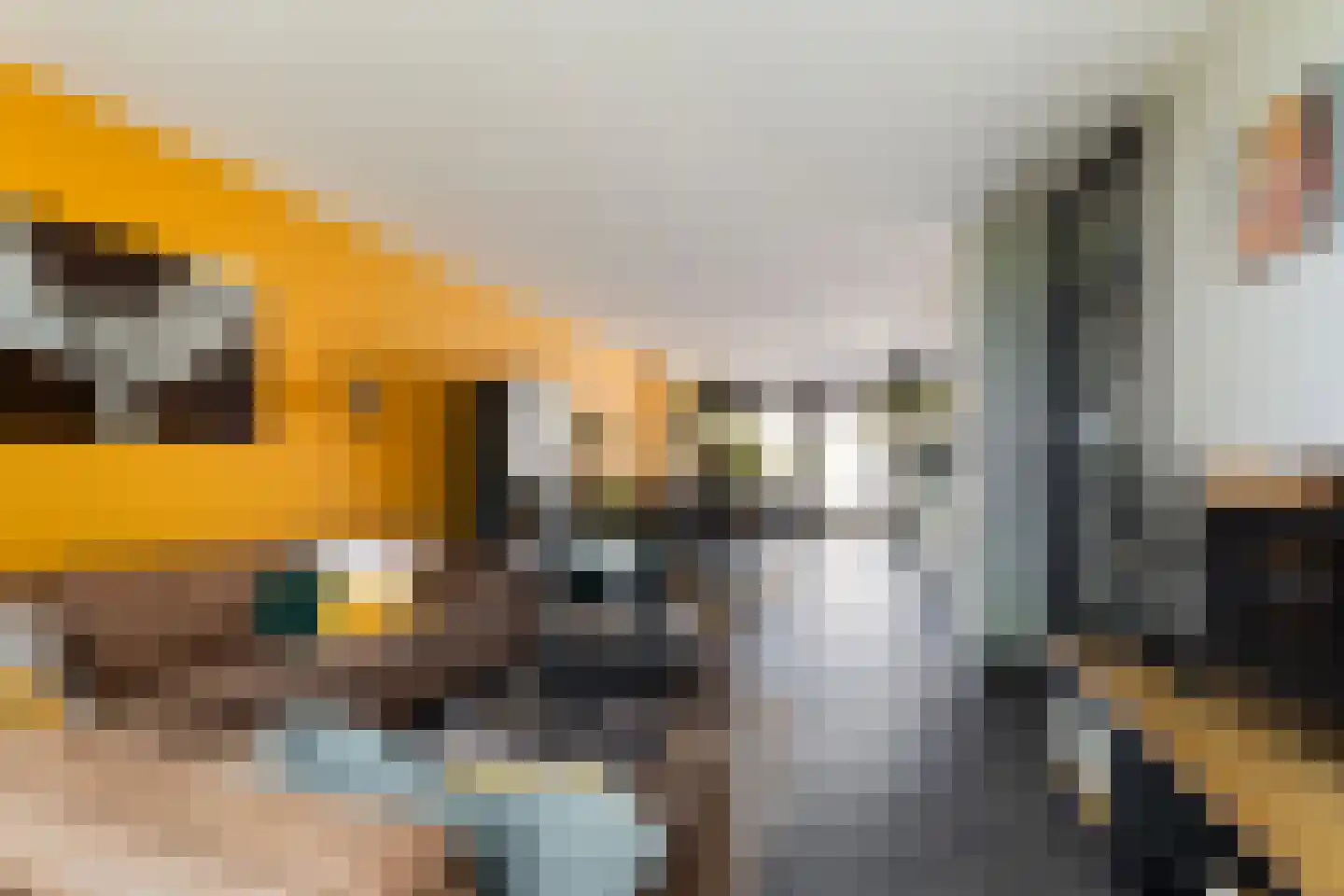 Patrijsstraat 43 Strijen thumbnail 10