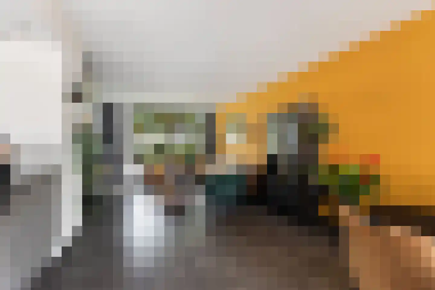Patrijsstraat 43 Strijen thumbnail 13