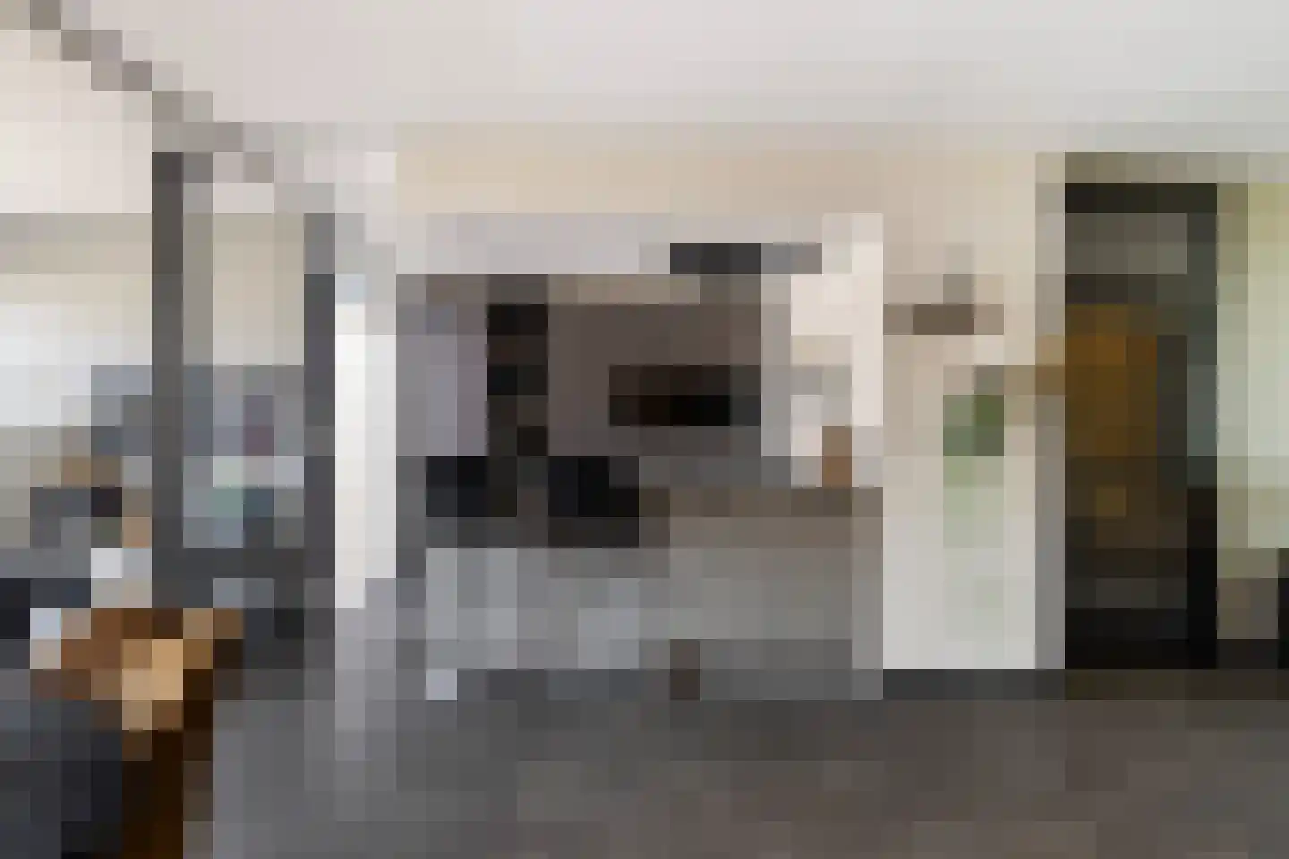 Patrijsstraat 43 Strijen thumbnail 21