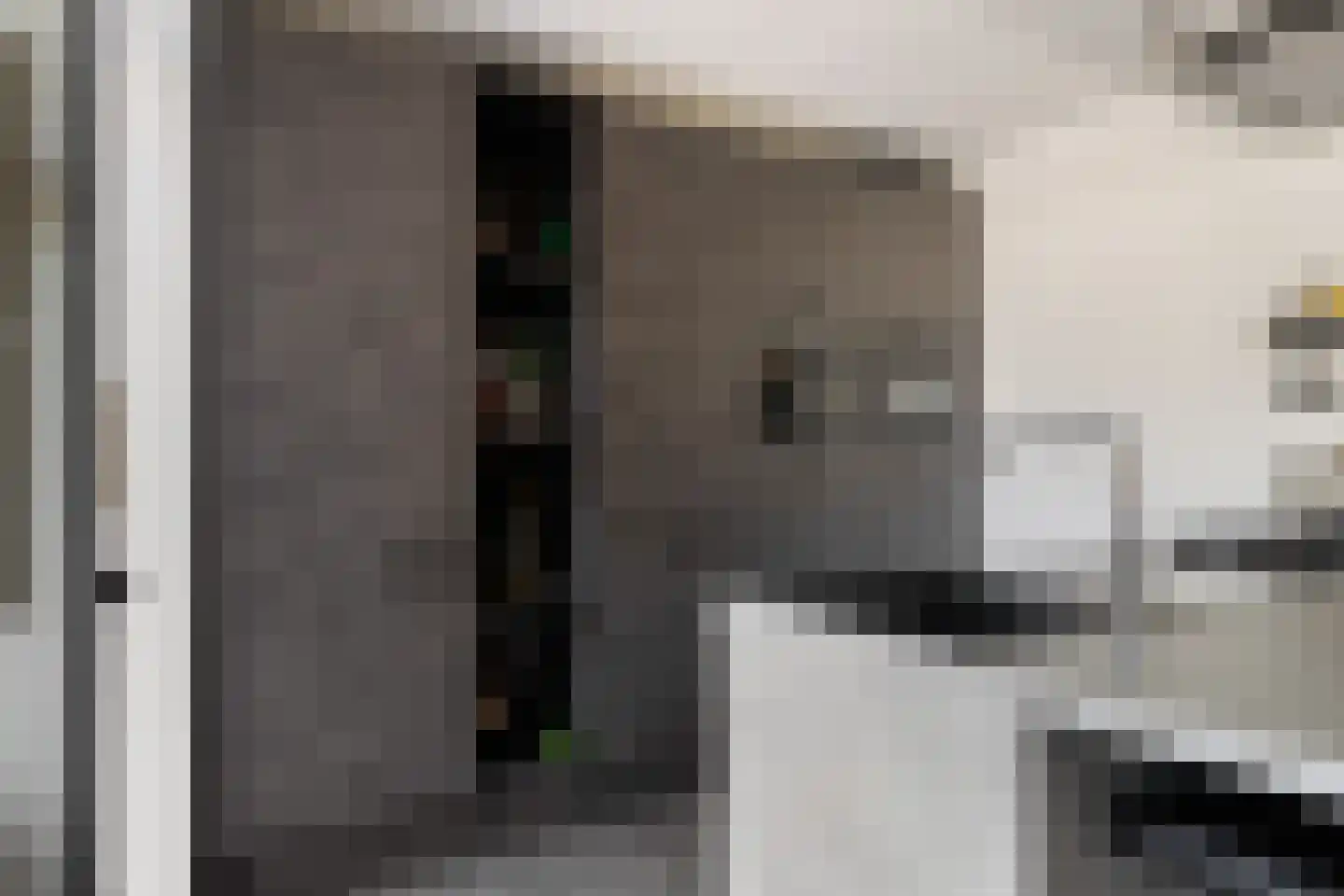 Patrijsstraat 43 Strijen thumbnail 22