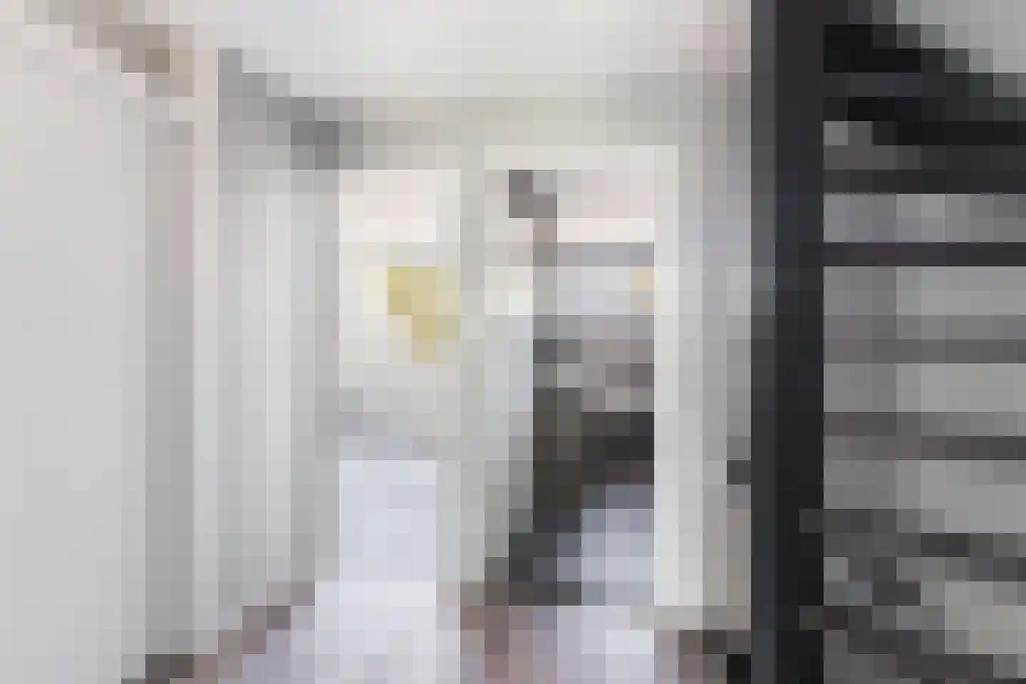 Patrijsstraat 43 Strijen thumbnail 32