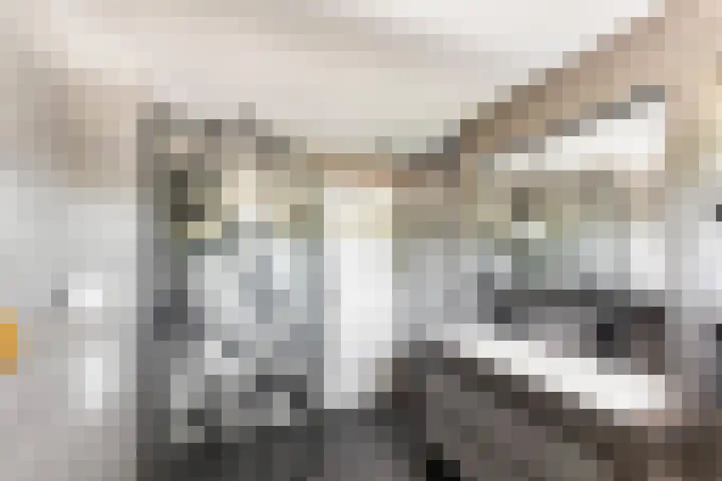 Patrijsstraat 43 Strijen thumbnail 41