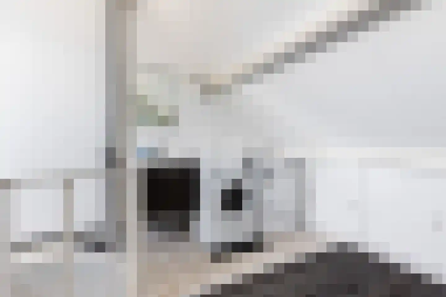 Patrijsstraat 43 Strijen thumbnail 43
