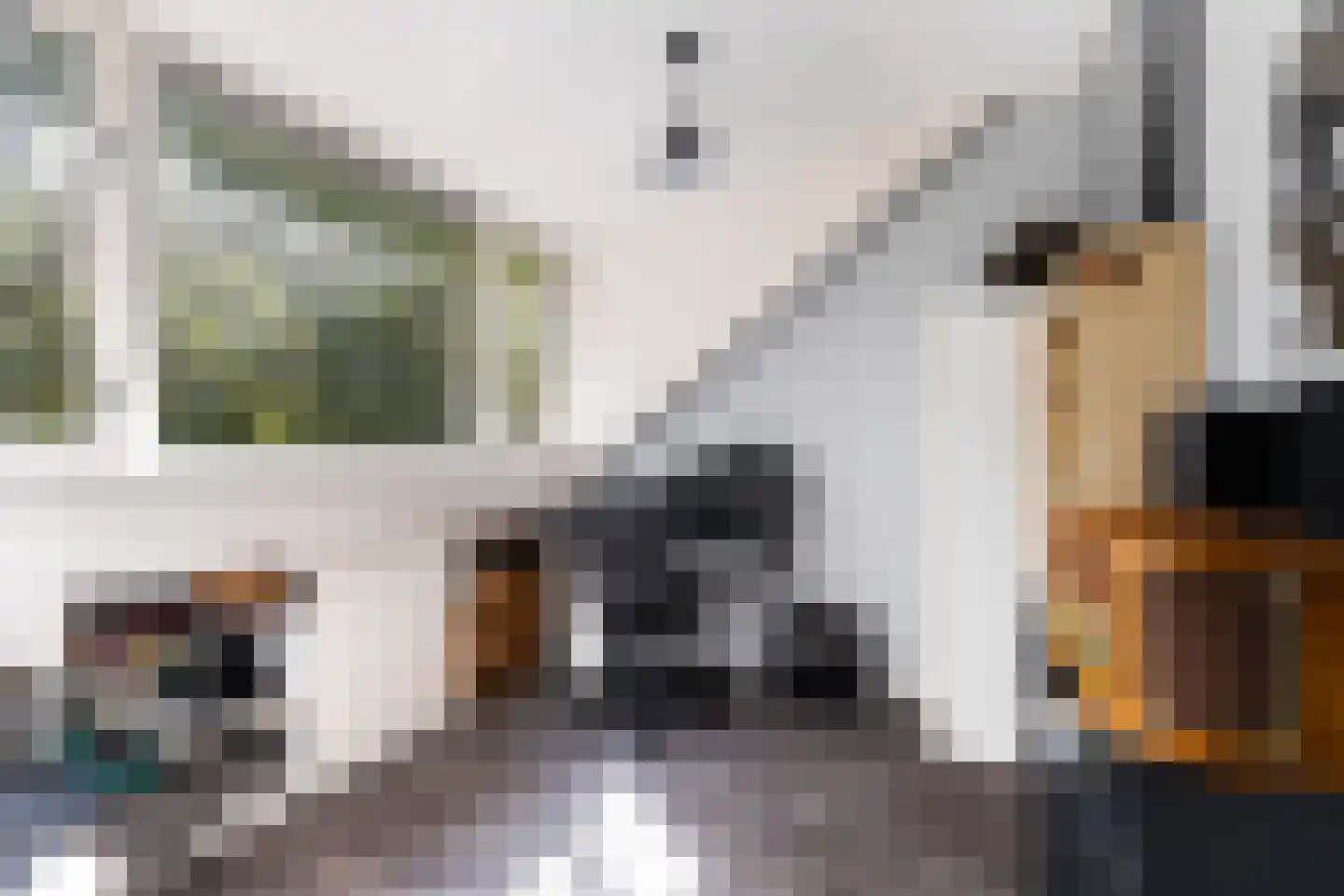 Patrijsstraat 43 Strijen thumbnail 45