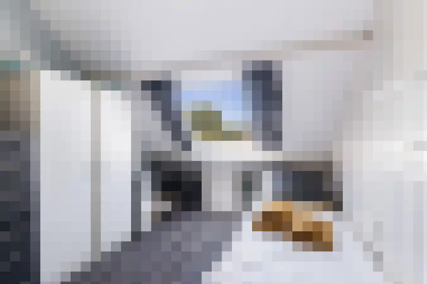 Patrijsstraat 43 Strijen thumbnail 46