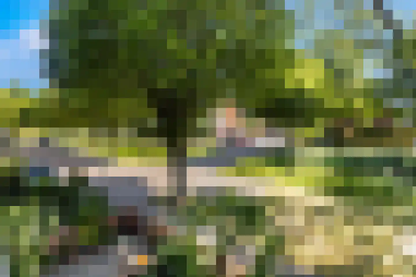 Patrijsstraat 43 Strijen thumbnail 47