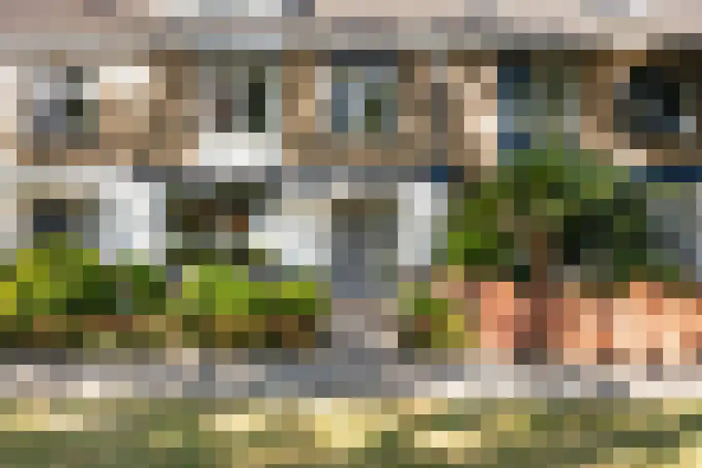 Patrijsstraat 43 Strijen thumbnail 5