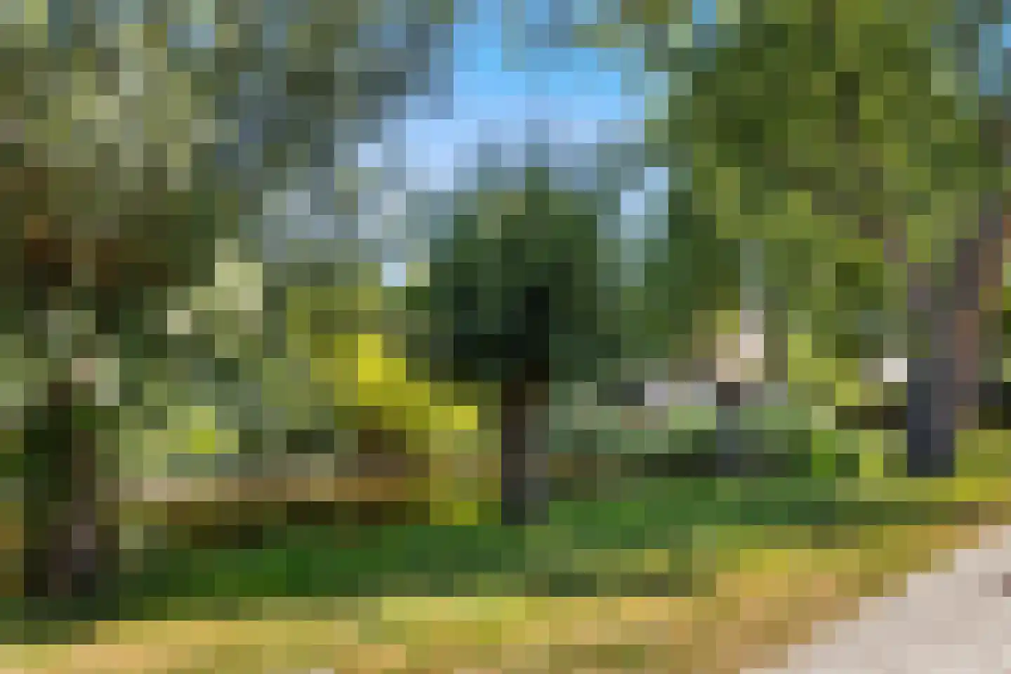Patrijsstraat 43 Strijen thumbnail 50