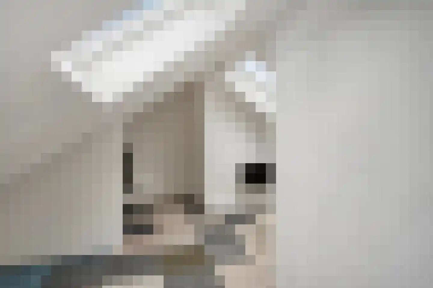 Patrijsstraat 48 Nijmegen thumbnail 20
