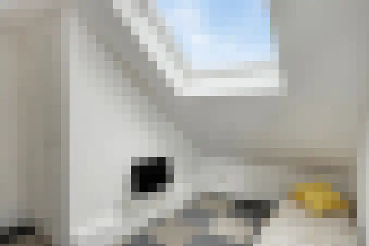 Patrijsstraat 48 Nijmegen thumbnail 21