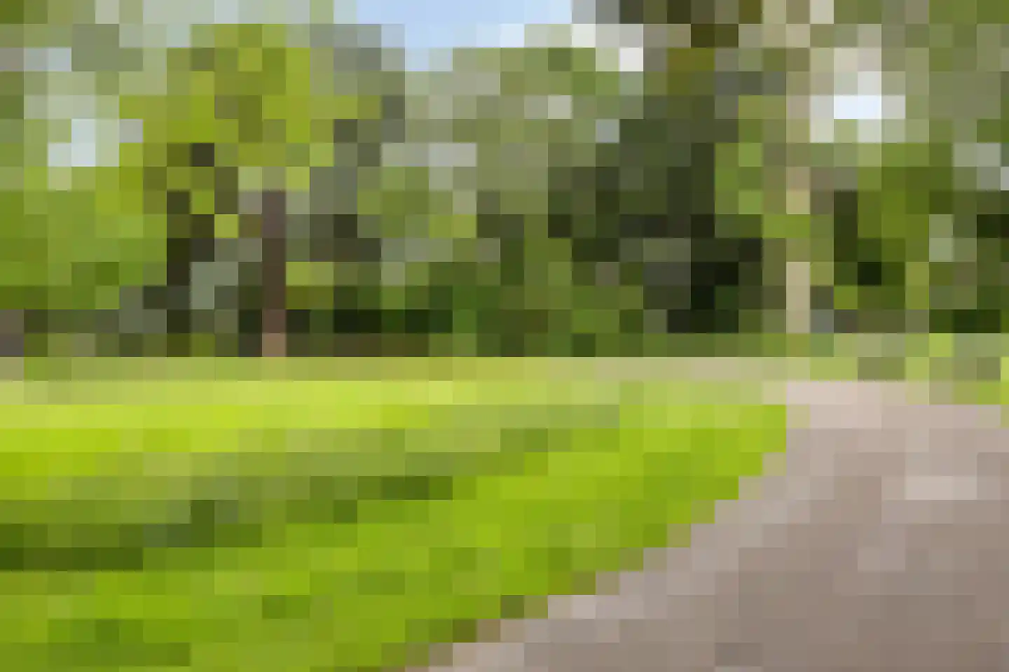 Patrijsstraat 48 Nijmegen thumbnail 27
