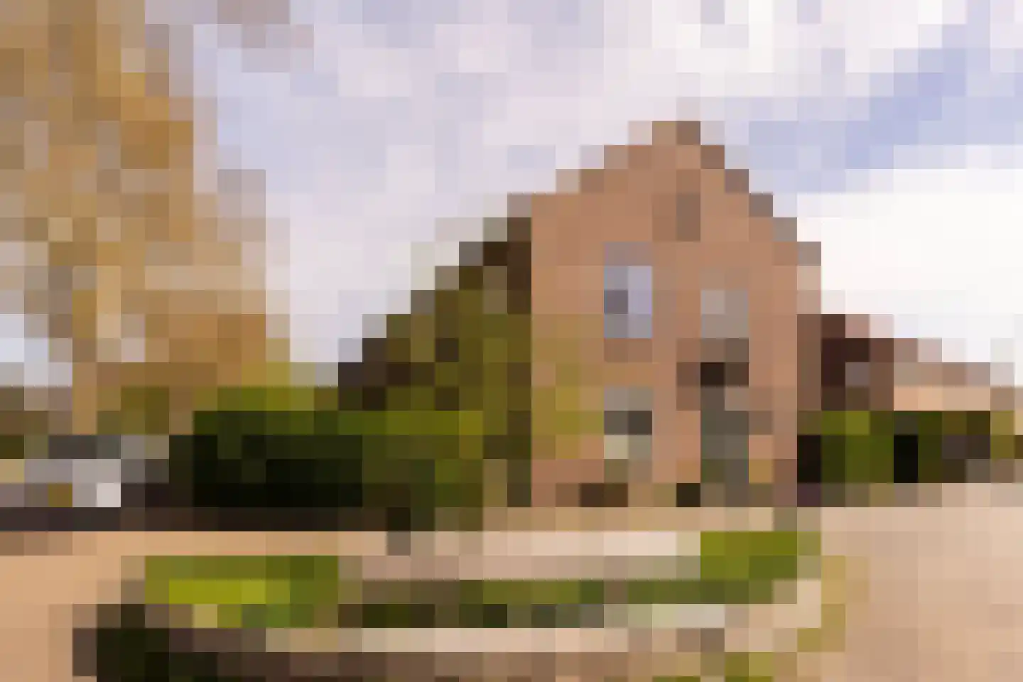 Patrijsstraat 48 Nijmegen thumbnail 6