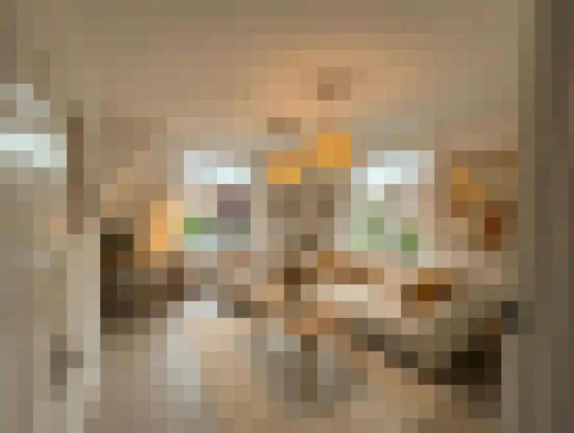 Patrijsstraat 48 Nijmegen thumbnail 7