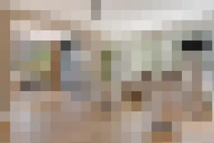 Patrijsstraat 5 Beneden-Leeuwen thumbnail 13