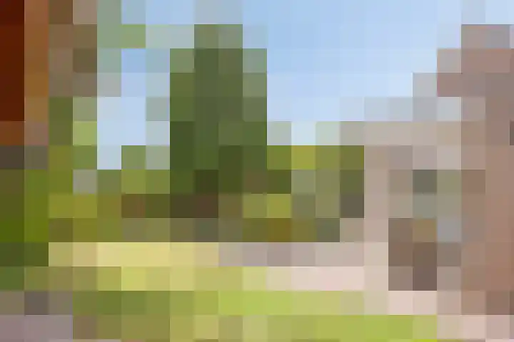 Patrijsstraat 5 Beneden-Leeuwen thumbnail 32