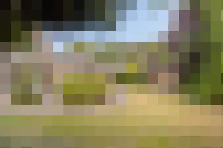 Patrijsstraat 5 Beneden-Leeuwen thumbnail 35