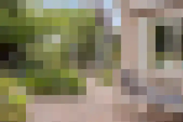Patrijsstraat 5 Beneden-Leeuwen thumbnail 36