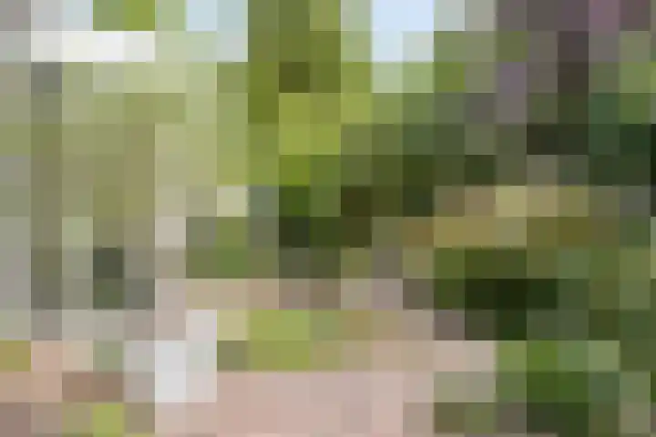 Patrijsstraat 5 Beneden-Leeuwen thumbnail 38