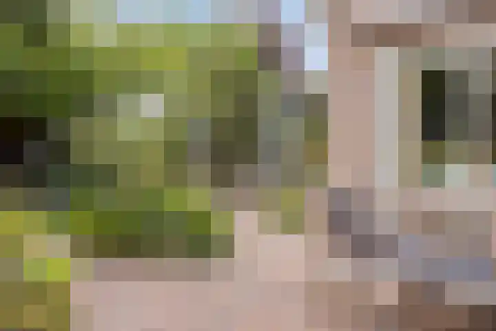 Patrijsstraat 5 Beneden-Leeuwen thumbnail 4