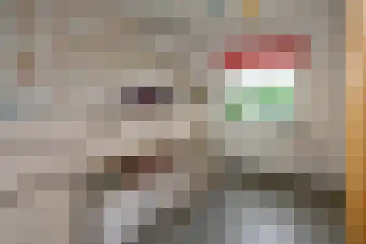 Patrijsstraat 5 Brummen thumbnail 11