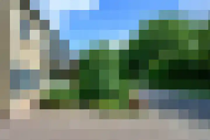Patrijsstraat 5 Brummen thumbnail 22
