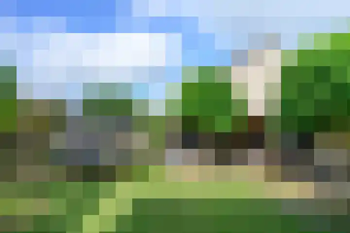 Patrijsstraat 5 Brummen thumbnail 24