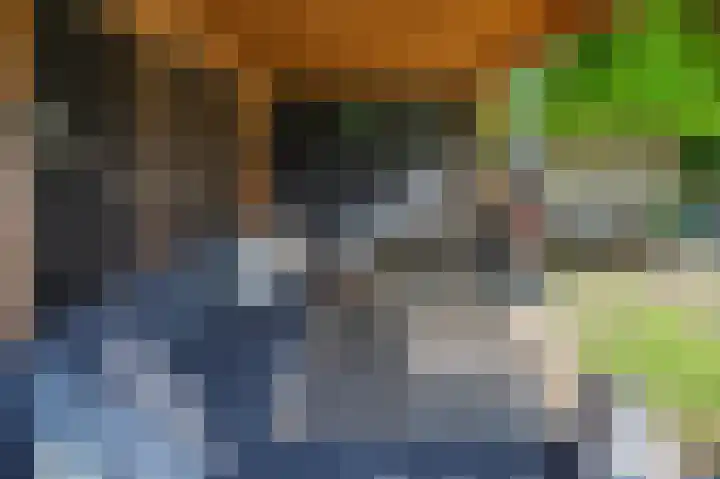 Patrijsstraat 5 Brummen thumbnail 26