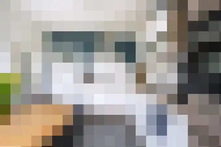 Patrijsstraat 5 Brummen thumbnail 7