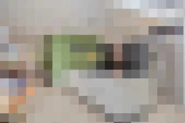 Patrijsstraat 52 Neede thumbnail 23
