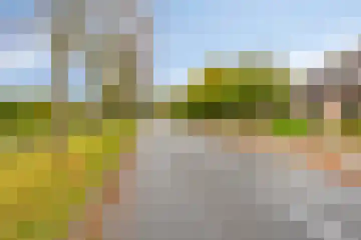 Patrijsstraat 52 Neede thumbnail 4