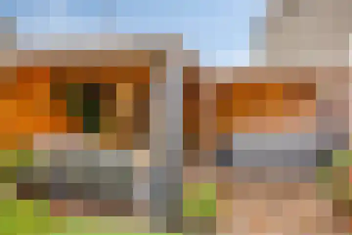 Patrijsstraat 52 Neede thumbnail 47