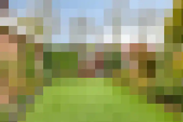 Patrijsstraat 52 Neede thumbnail 51