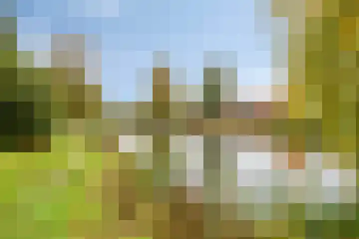 Patrijsstraat 52 Neede thumbnail 55
