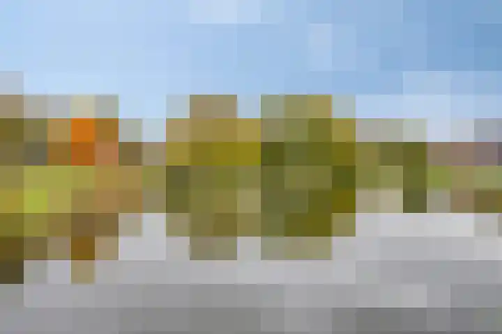 Patrijsstraat 52 Neede thumbnail 57