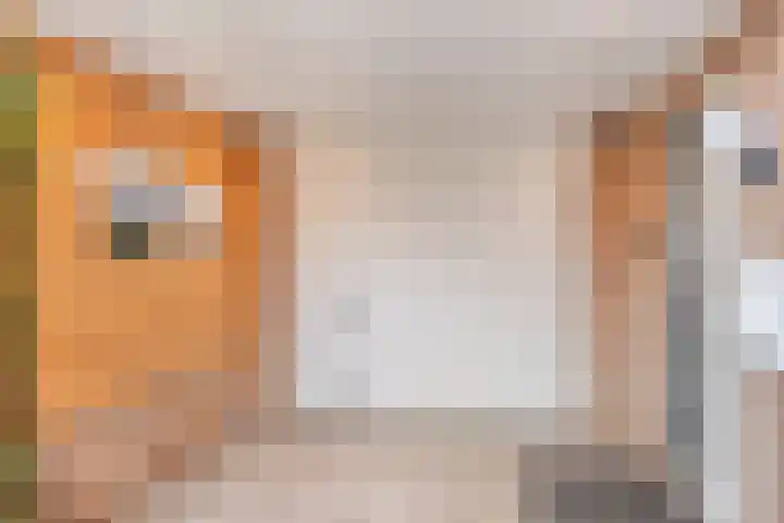 Patrijsstraat 52 Neede thumbnail 6